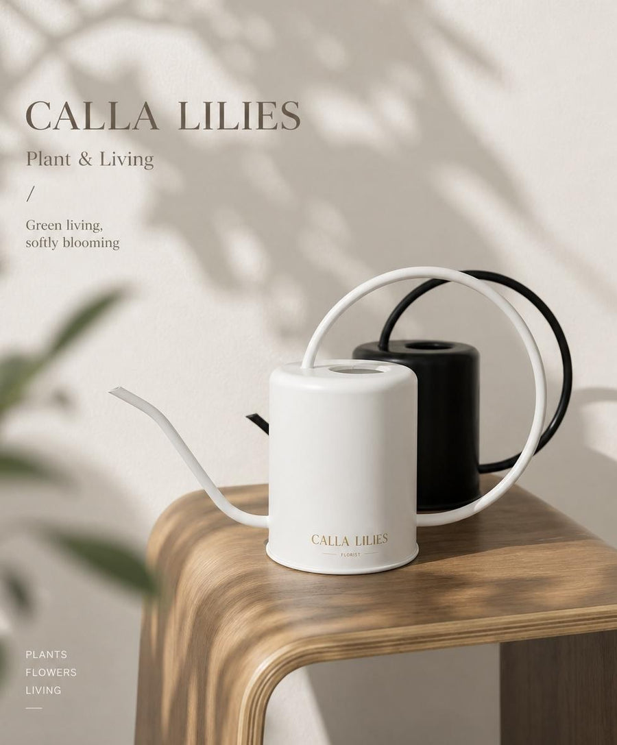 Gifts & Lifestyle