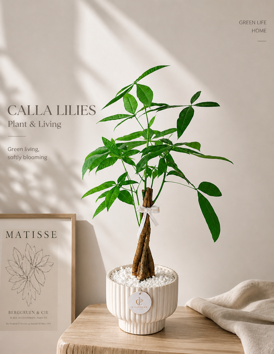 Plants & Greenery