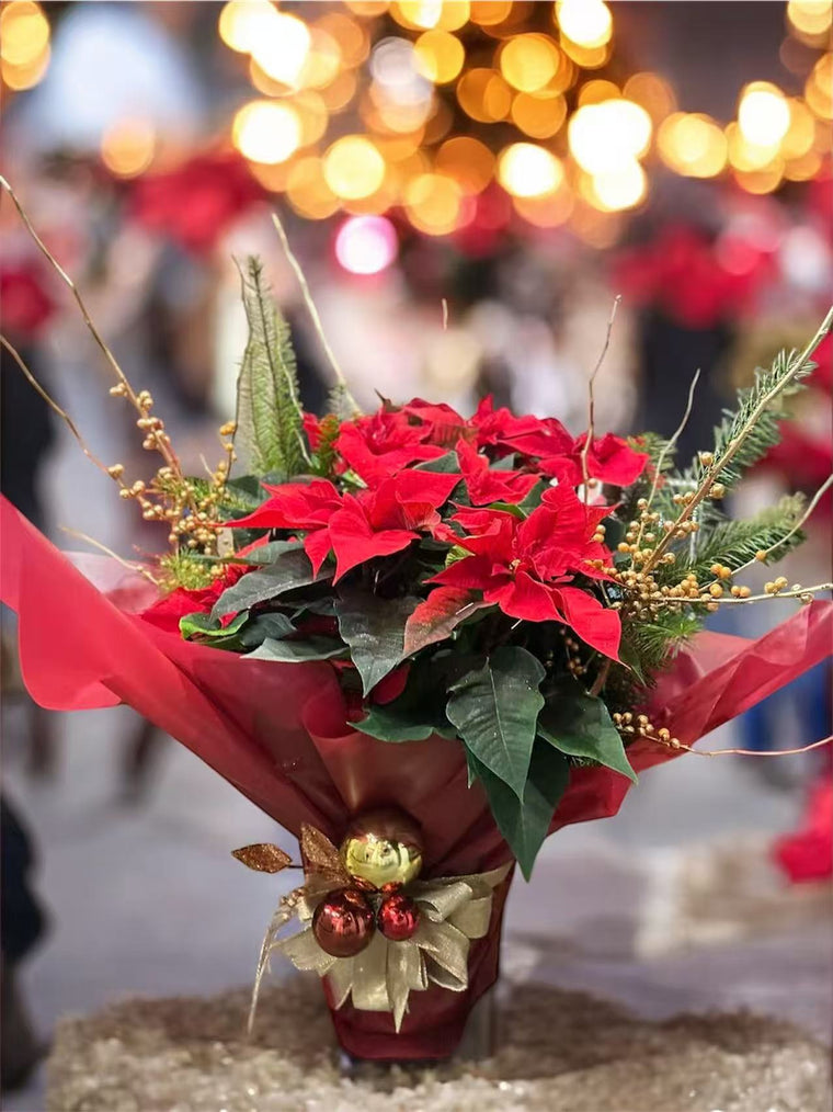 Holiday Celebrations