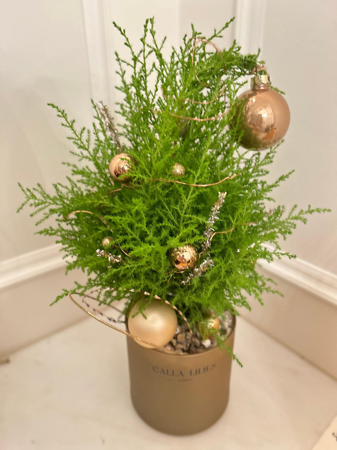 Christmas Cypress Arrangement