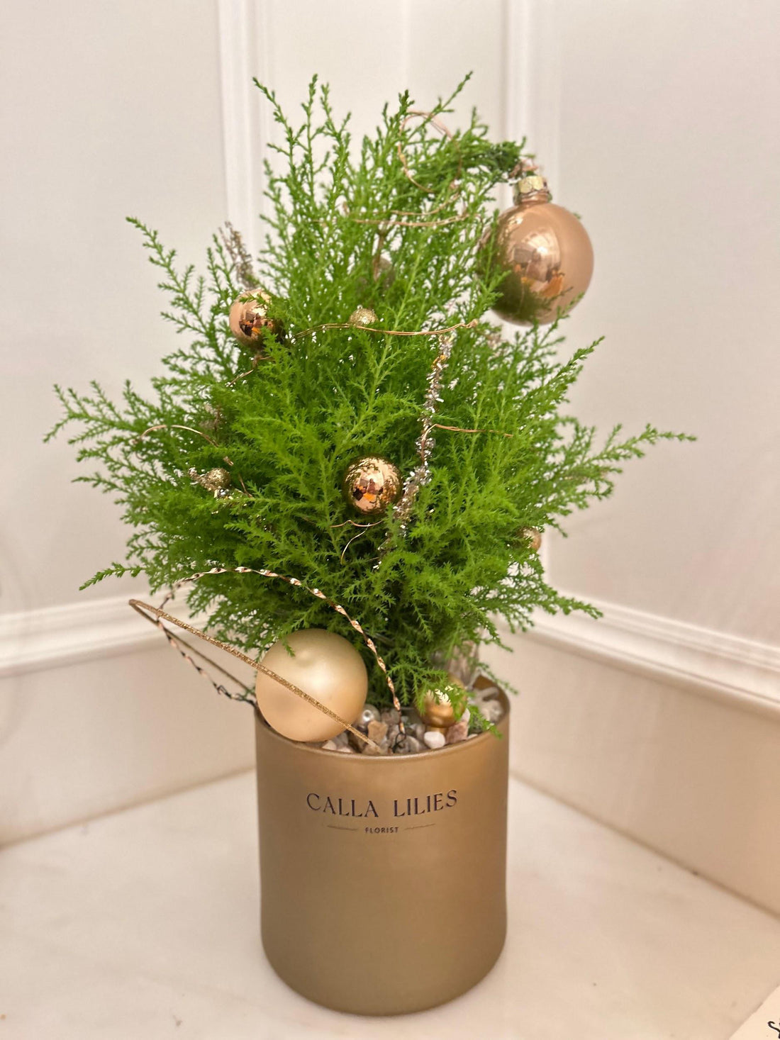 Christmas Cypress Arrangement