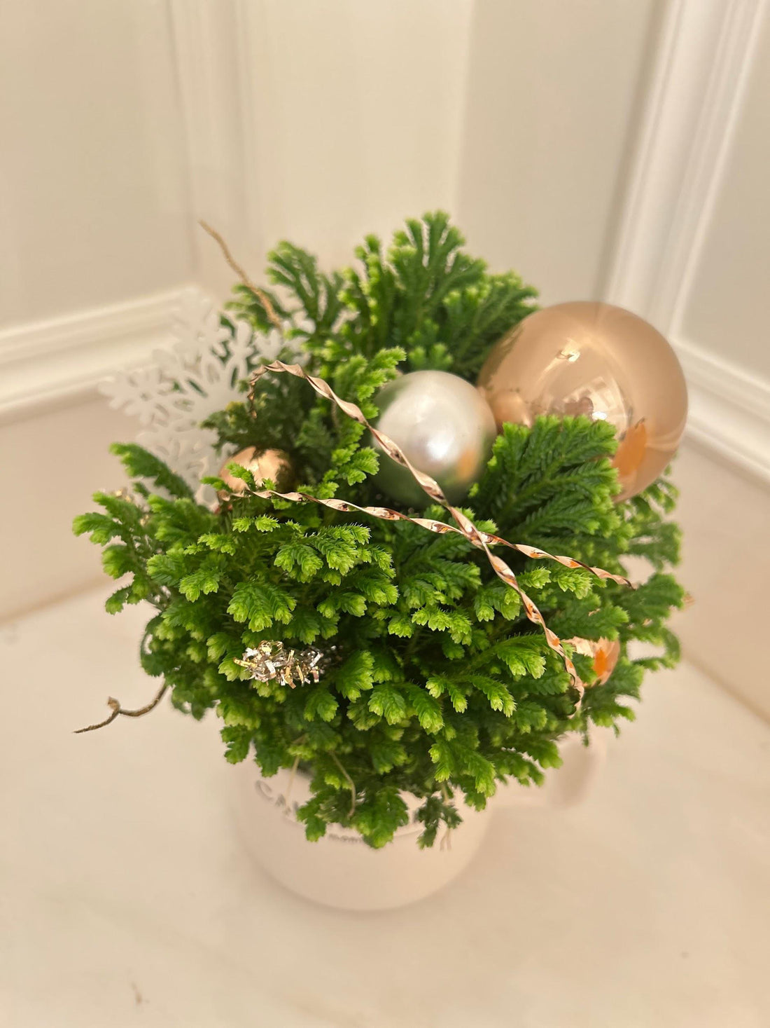 Christmas Green Plant Arrangement