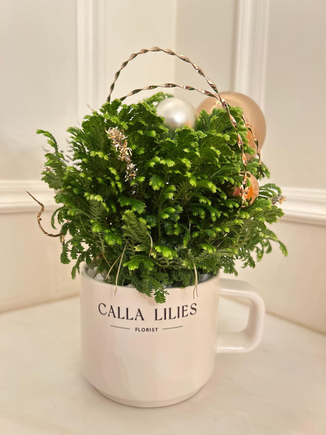 Christmas Green Plant Arrangement