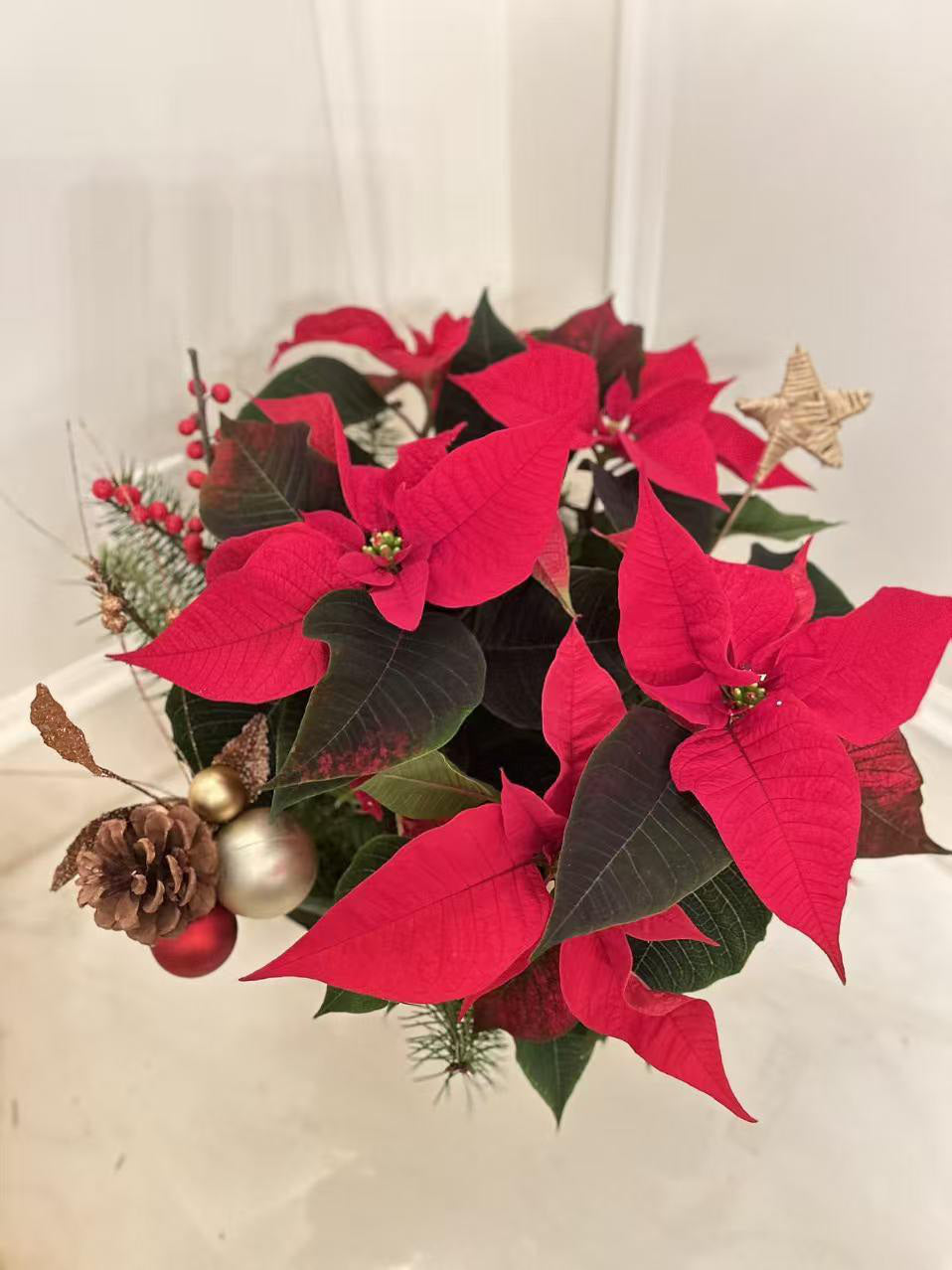 Christmas Poinsettia Arrangement