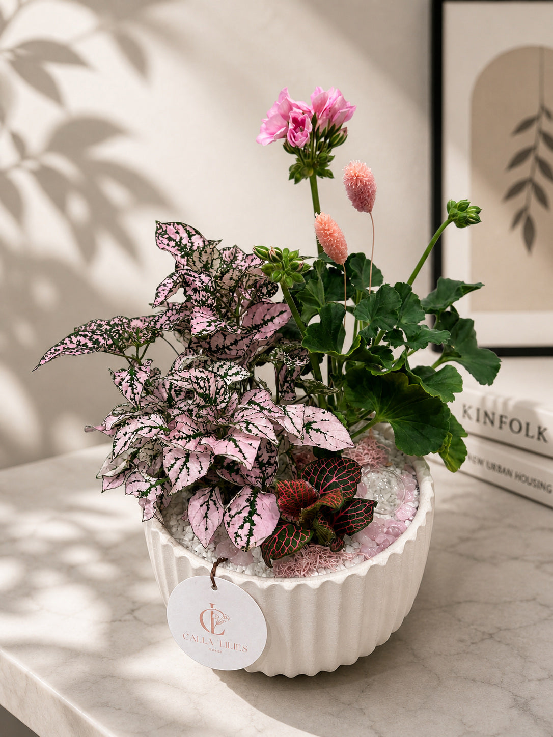 Daily Green Plant Arrangement