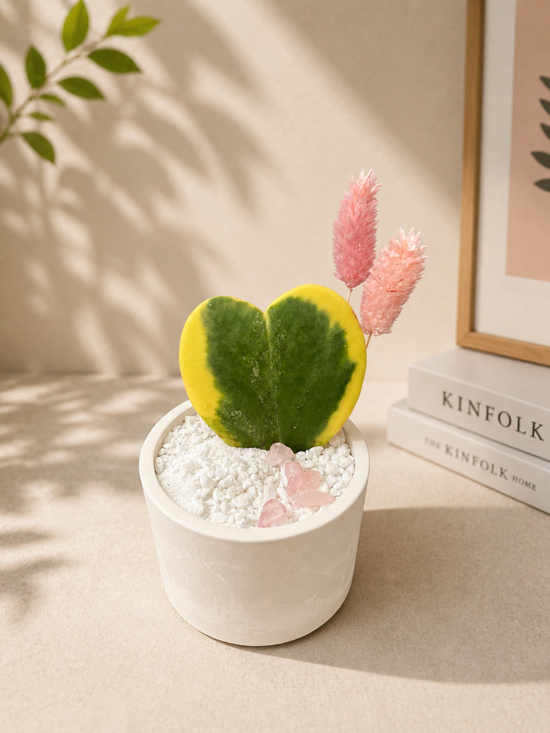 Heart Hoya Plant Arrangement