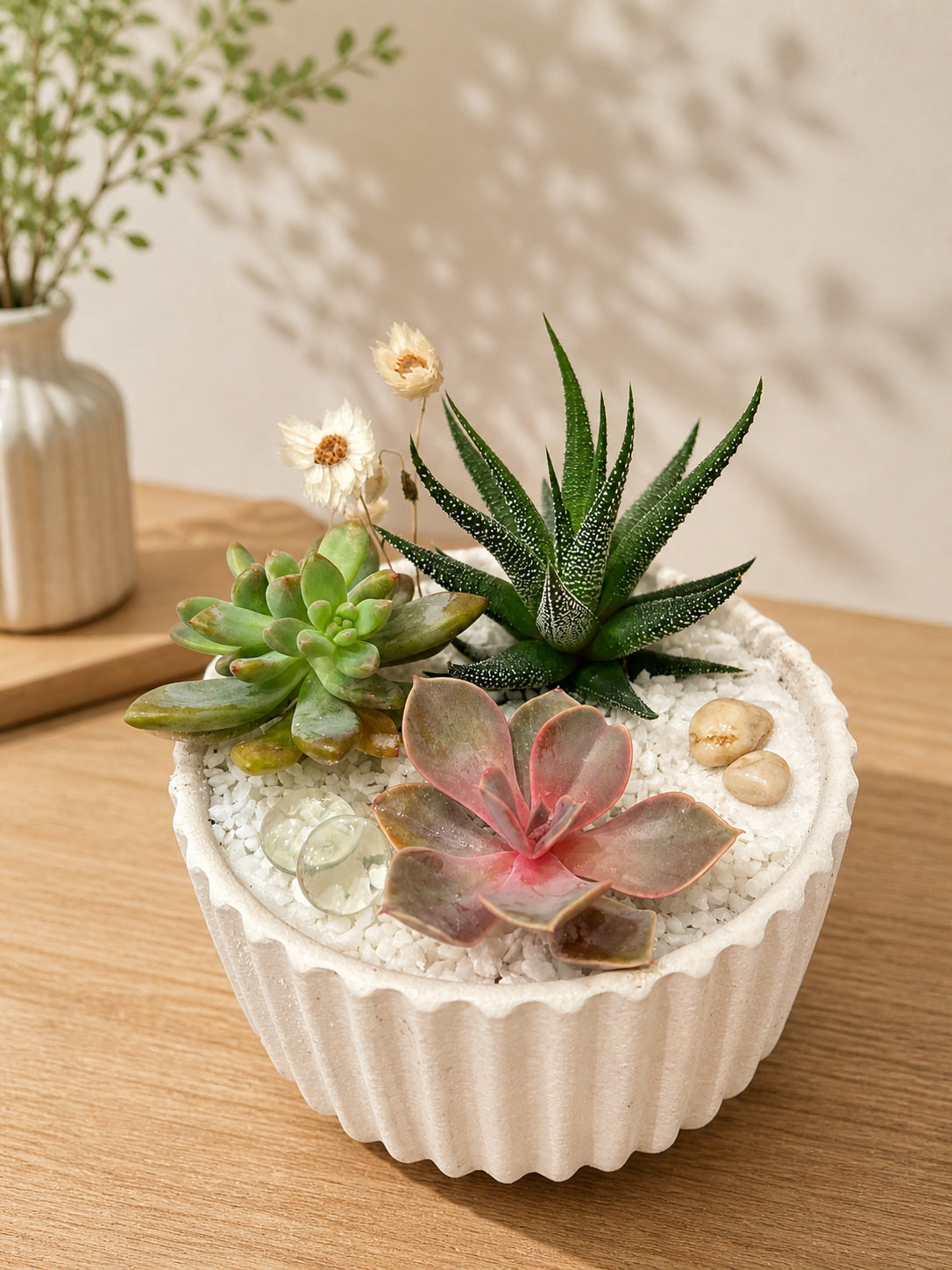 Daily Succulent Arrangement