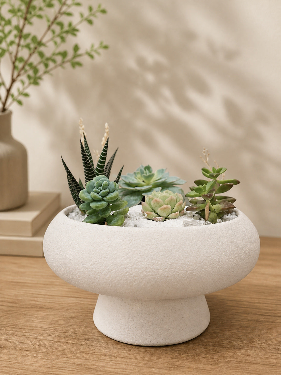 Signature Succulent Arrangement