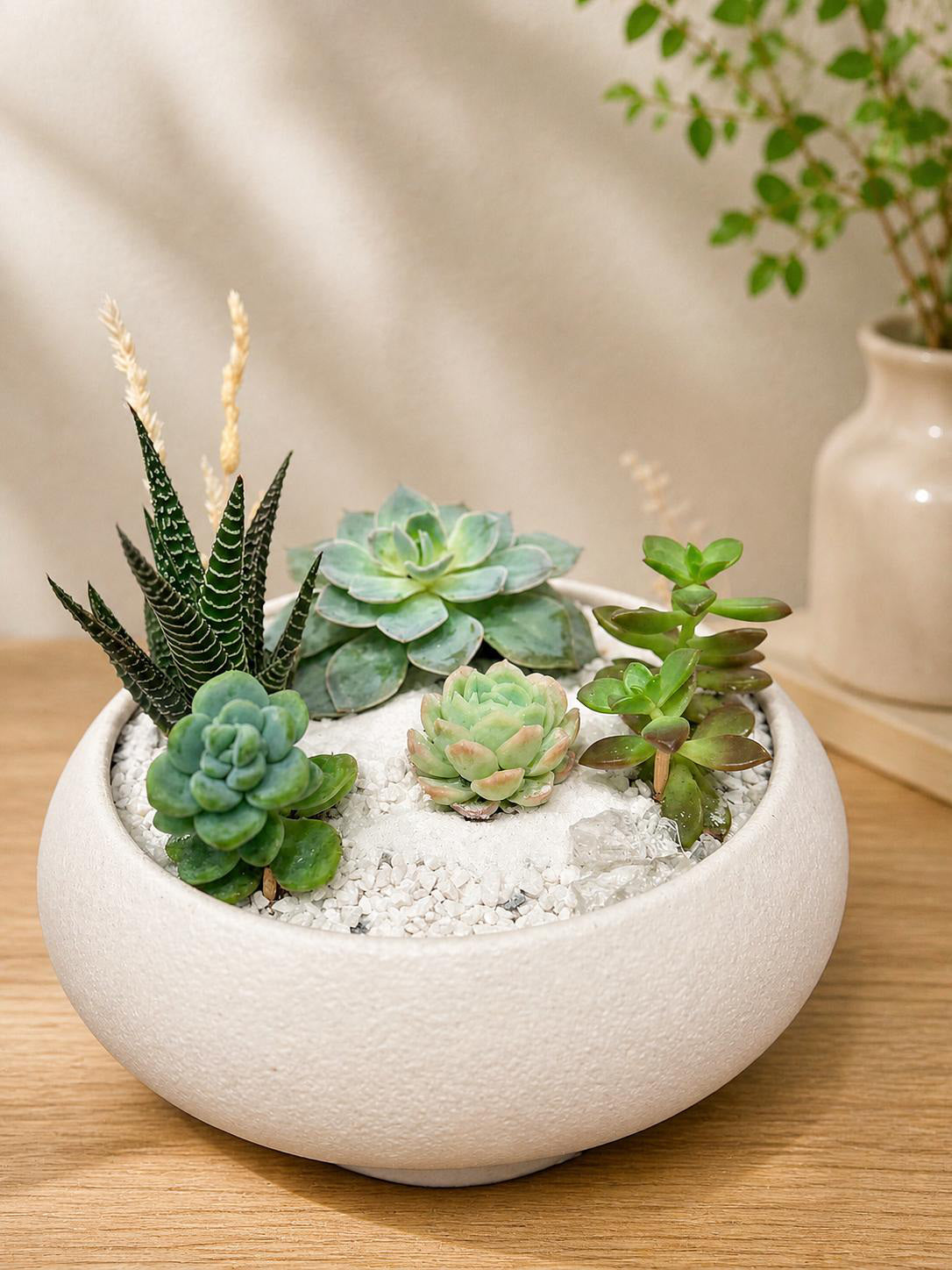 Signature Succulent Arrangement